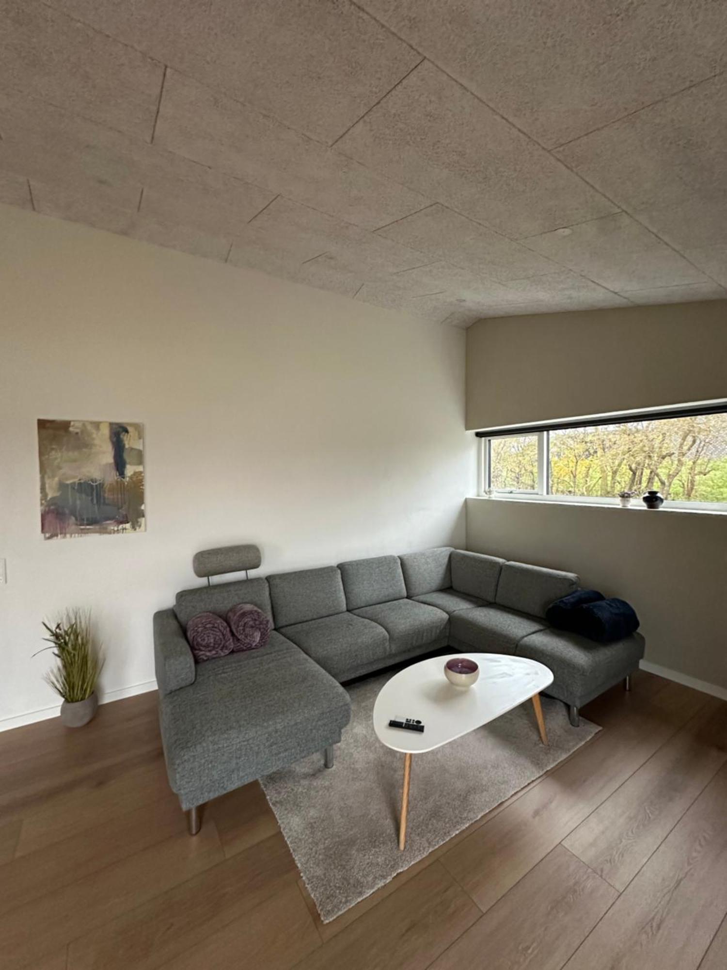 Moderne Nybygget Villa Holstebro Exterior photo